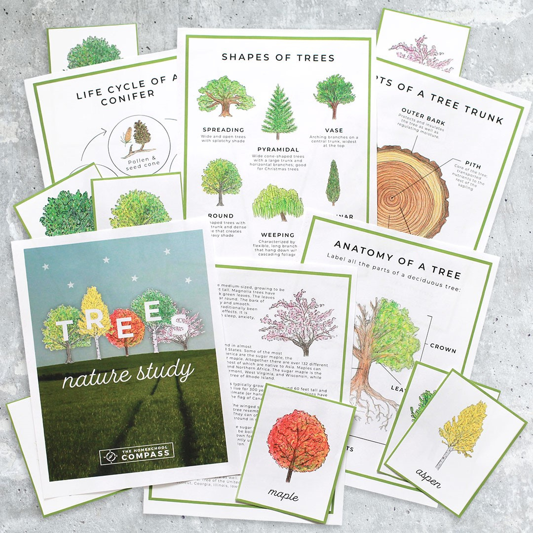 Free Tree Nature Study Printables - Homeschool Compass in Homeschool Compass Free Printables