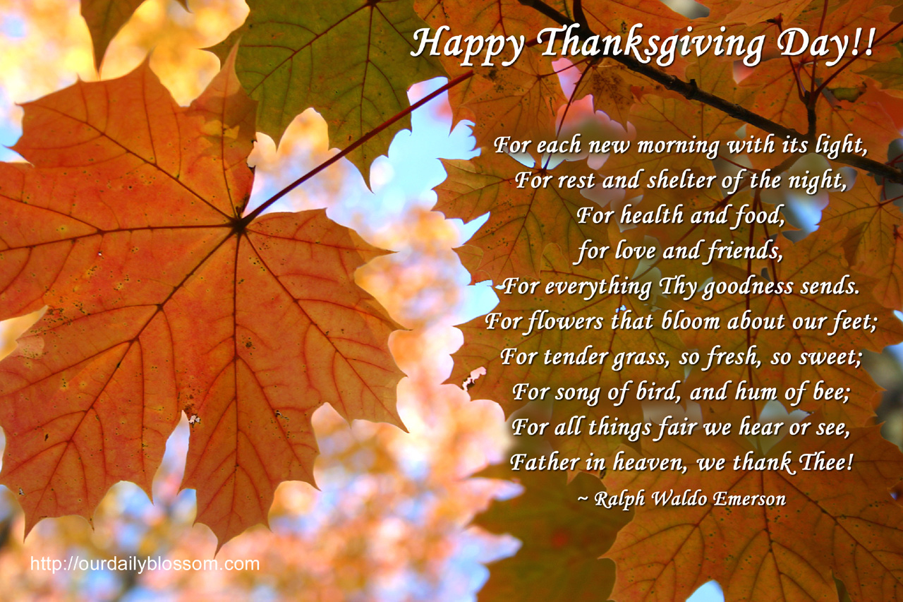 Happy Thanksgiving Quotes And Poems. Quotesgram pertaining to Happy Thanksgiving In Heaven Poem
