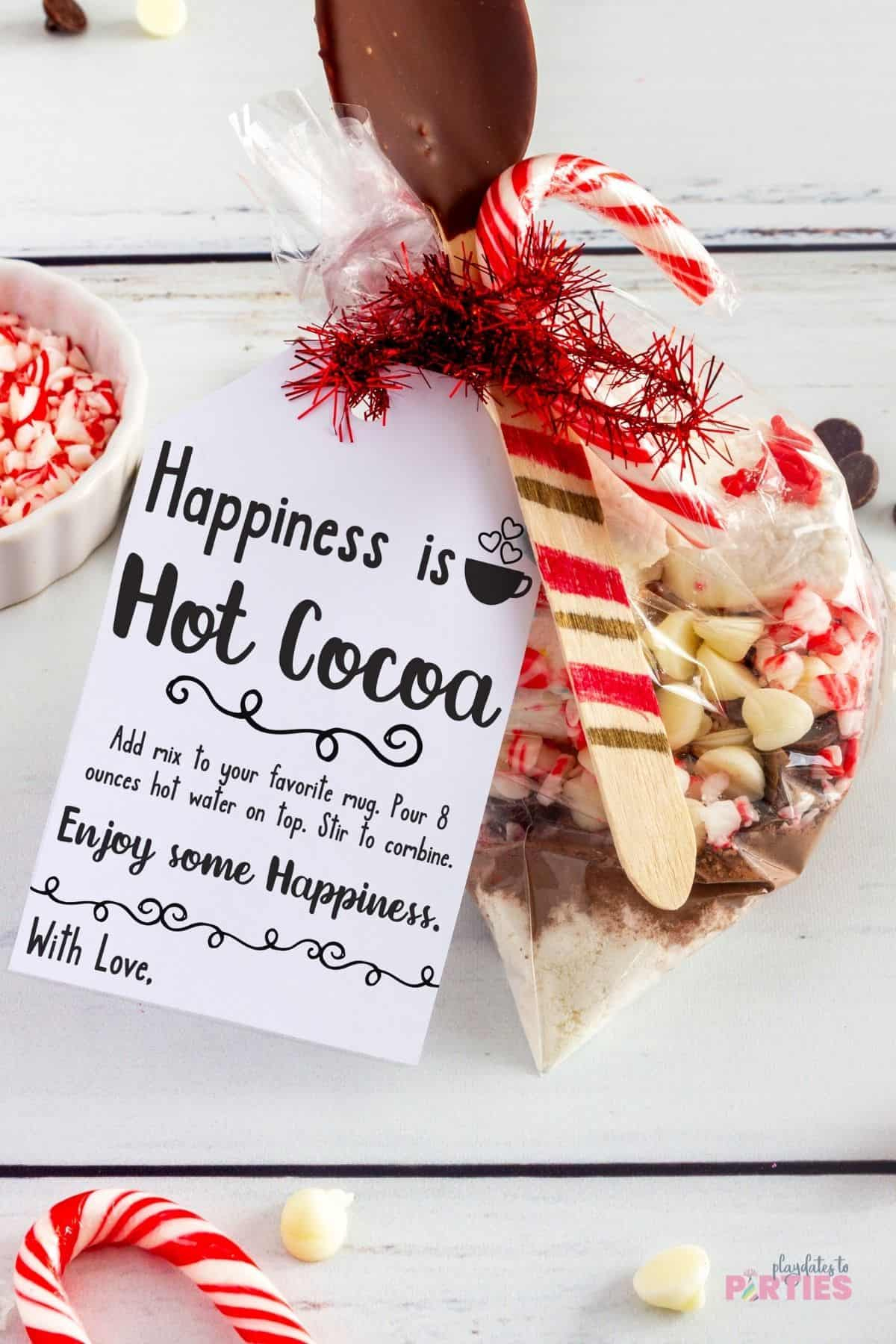 Hot Chocolate Gift Idea + Free Printable Hot Cocoa Gift Tags intended for Free Printable Hot Chocolate Tags