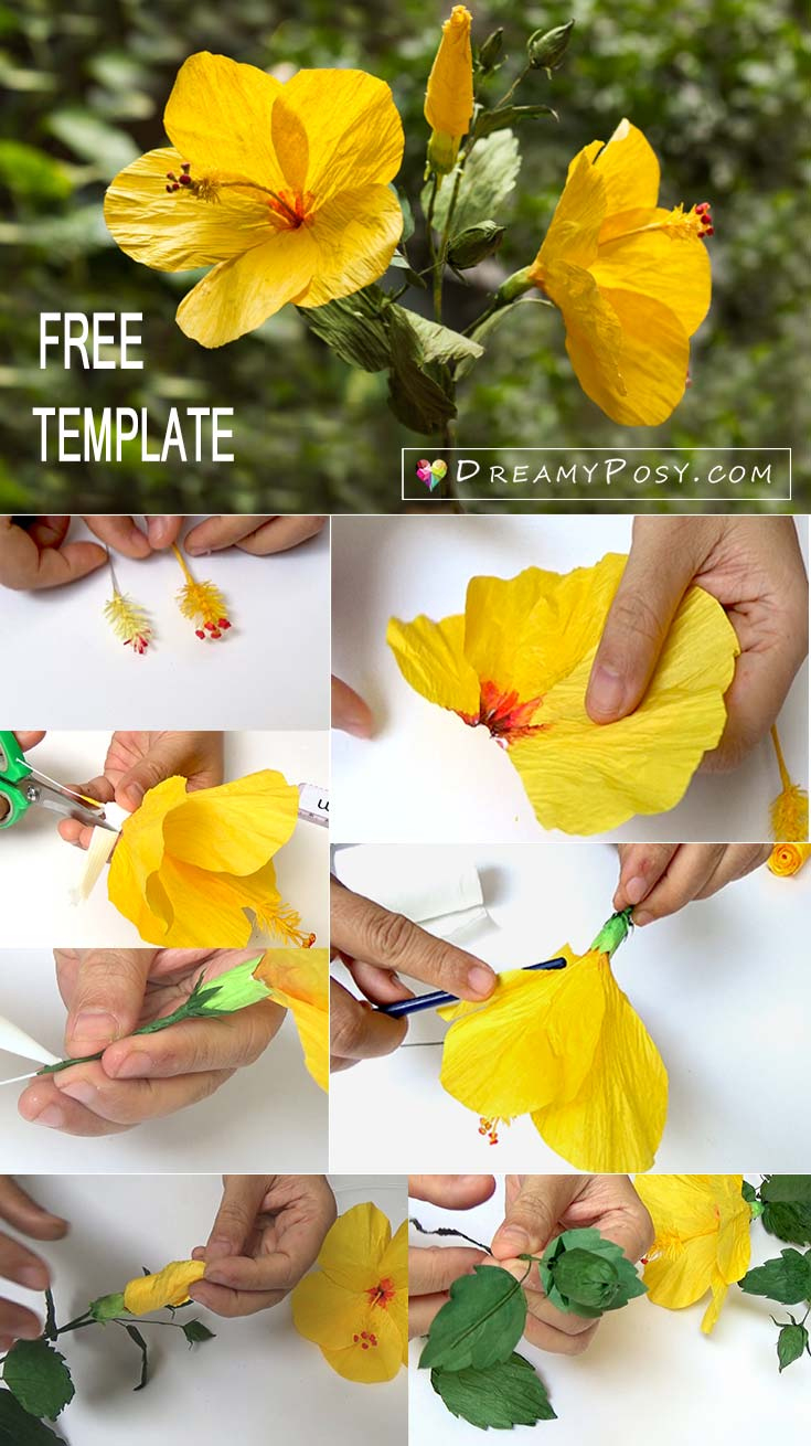 How To Make Hibiscus Paper Flower With Free Templates, Easy To Follow with Printable Hibiscus Paper Flower Template Free