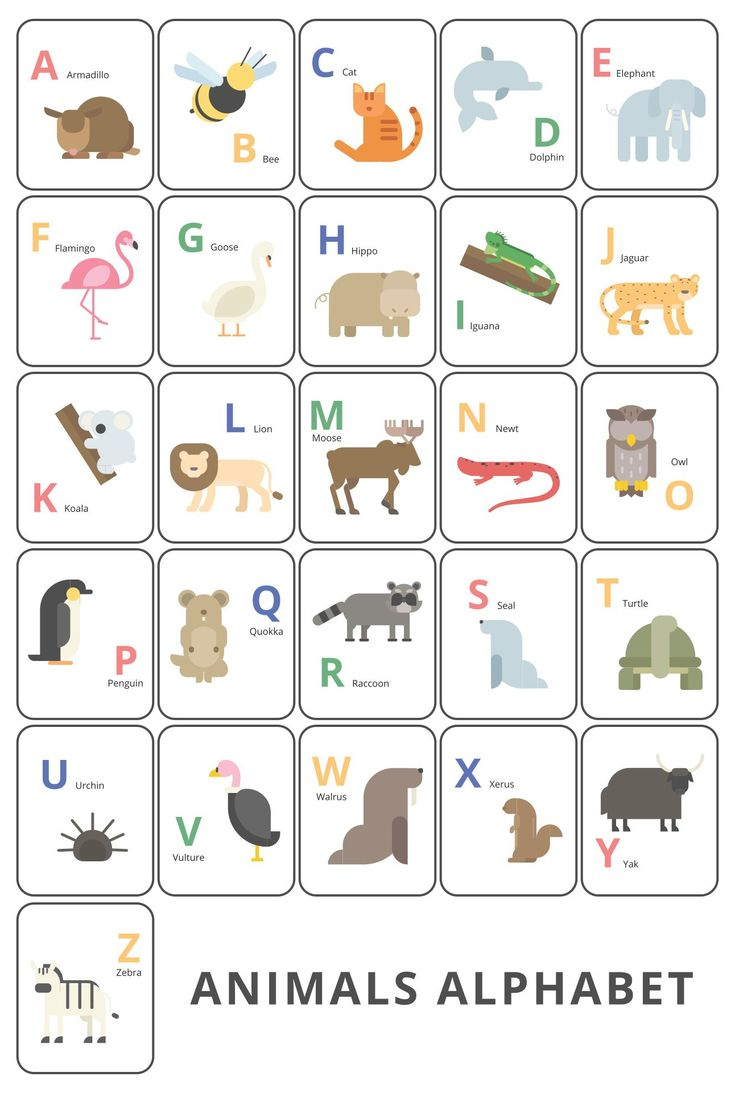Large Abc Flash Cards - 10 Free Pdf Printables | Printablee within Alphabet Letters With Animals Printable
