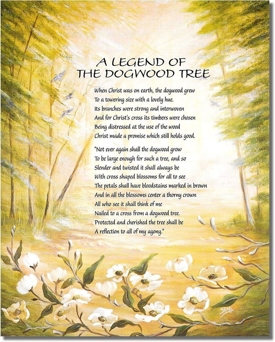 Legend Of The Dogwood Tree 8X10 Inch Premium Satin Print | Ebay inside Legend Of The Dogwood Tree Poem Printable