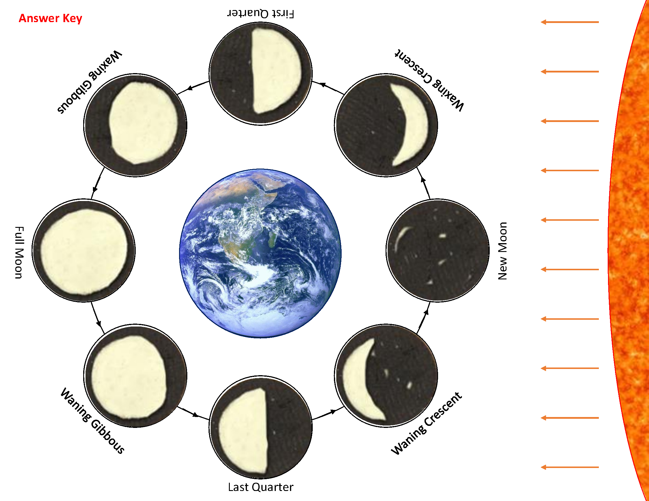 Oreo Moon Phase Activity - Stem Supplies - Worksheets Library throughout Printable Oreo Moon Phases Worksheet