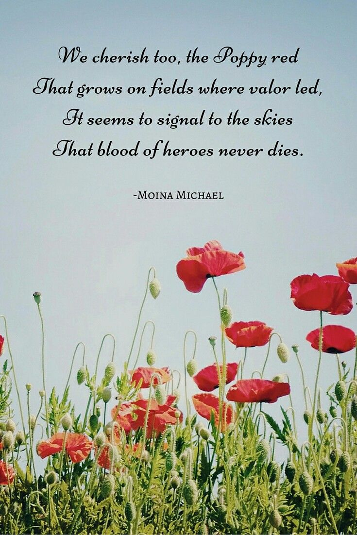 Poppy Red with Poppy Flower Veterans Day Poem