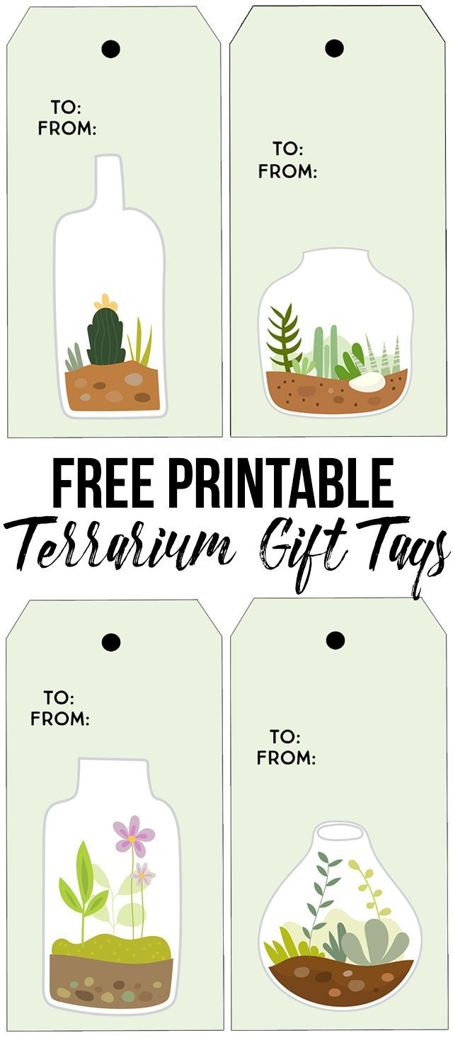 Printable Succulent Terrarium Gift Tags - Live Laugh Rowe throughout Free Printable Succulent Gift Tags
