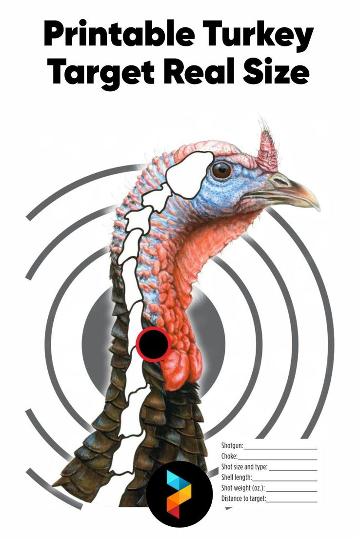 Printable Turkey Targets For Perfect Archery And Shotgun Practice with Printable Turkey Shooting Targets