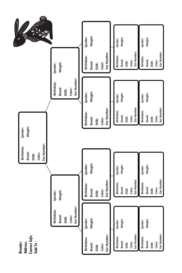 Rabbit Pedigree Forms within Free Printable Rabbit Pedigree Template