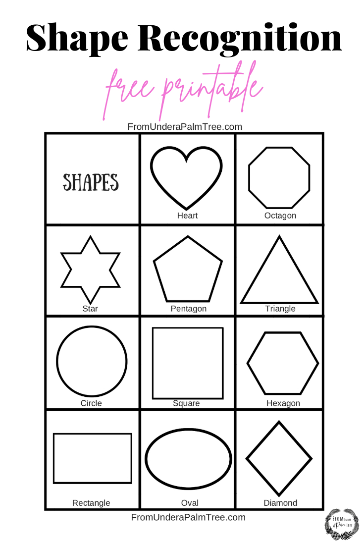 Shape Recognition Activity &amp;gt; From Under A Palm Tree for Free Printable Assessment For Shapes
