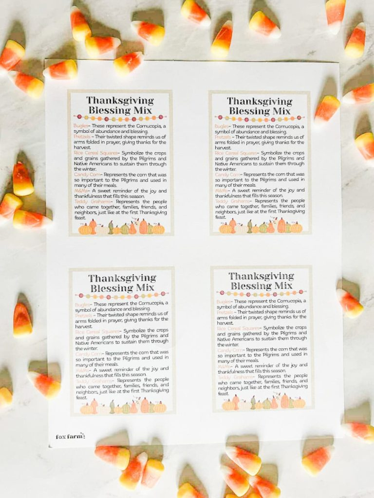 Thanksgiving Blessing Mix + Free Printable Tag - Fox Farm Home pertaining to Free Printable Blessing Mix Printable Tags