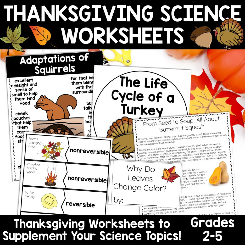 Thanksgiving Science Worksheets No Prep Acitivities - Thrifty In in Thanksgiving Science Worksheet