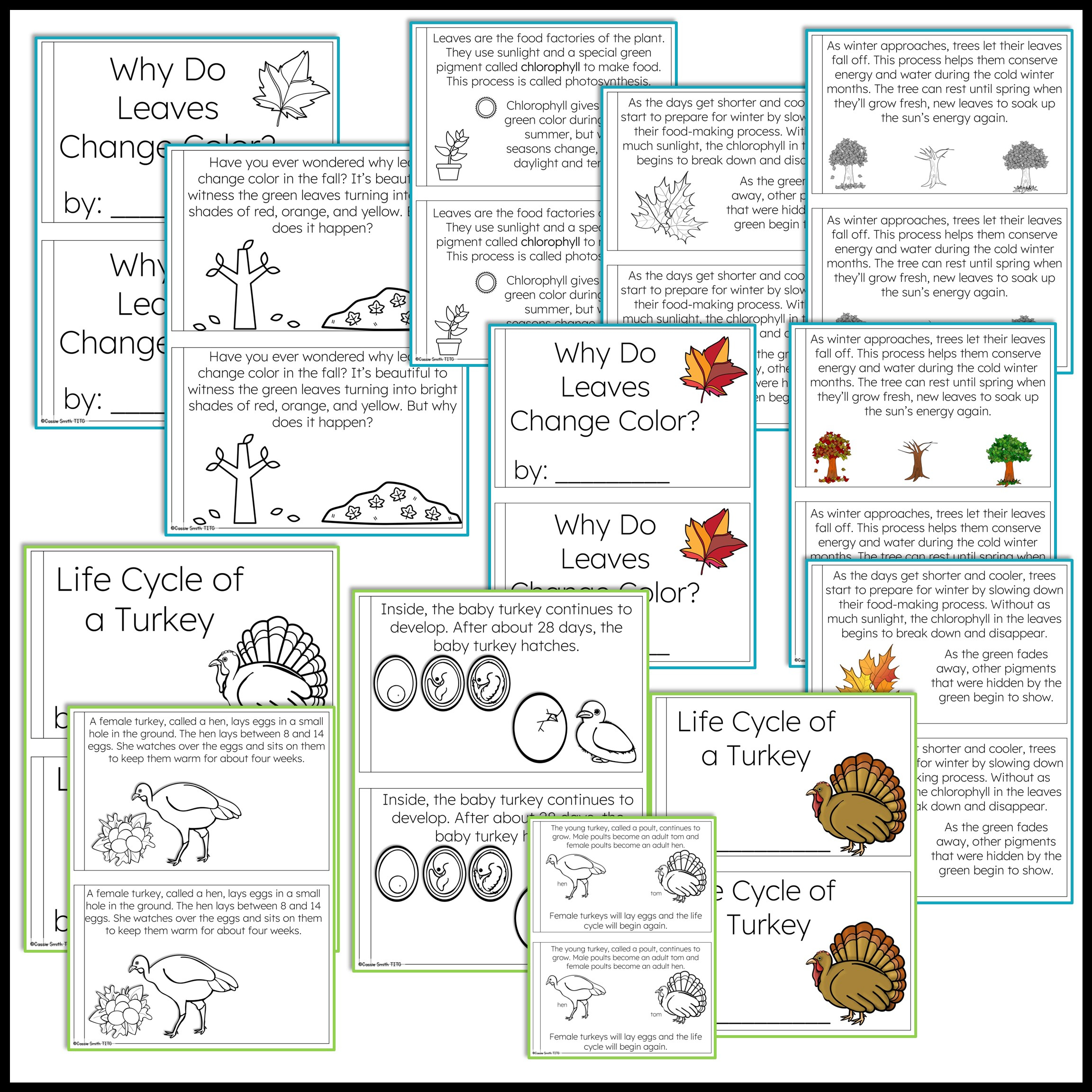 Thanksgiving Science Worksheets No Prep Acitivities - Thrifty In throughout Thanksgiving Science Worksheet