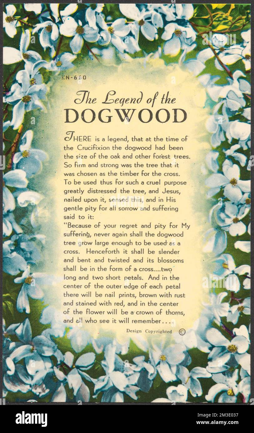 The Legend Of The Dogwood , Dogwoods, Jesus Christ, Tichnor in Free Printable Legend Of The Dogwood Tree