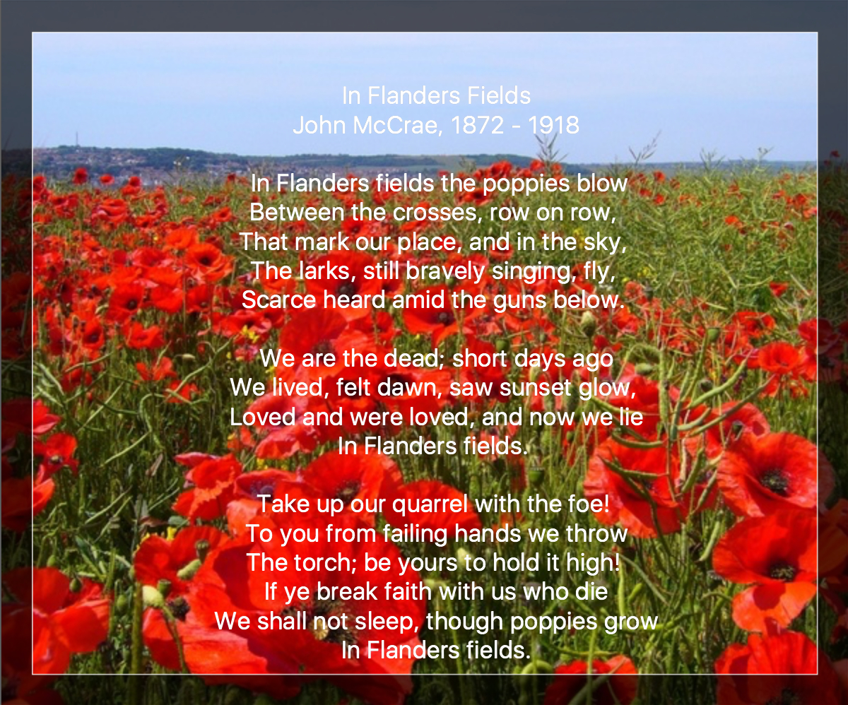 Veterans Day 2017 | Newenglandgardenandthread with Poem About Poppies For Veterans Day