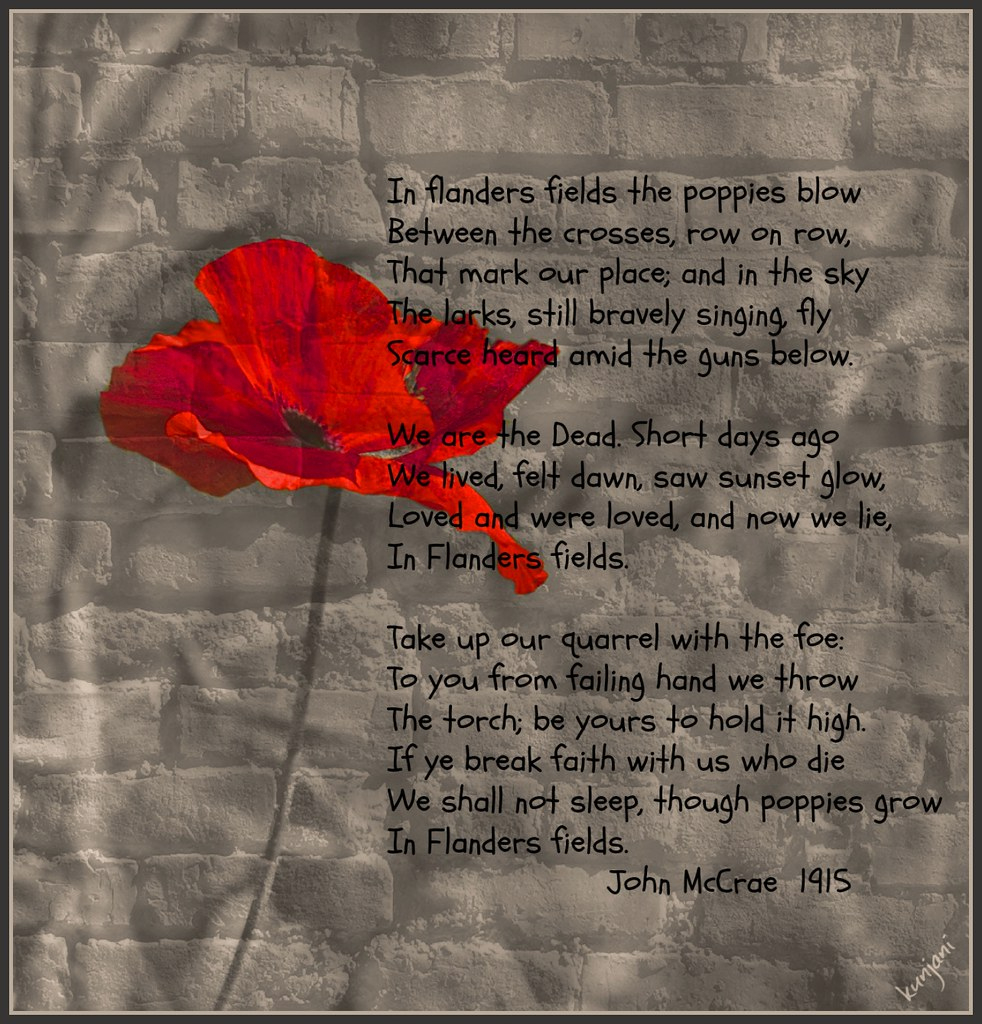 Veterans Day: Poem: &amp;quot;In Flanders Fields&amp;quot; | November 11 Is Ve… | Flickr intended for Veterans Day Poppy Field Poem