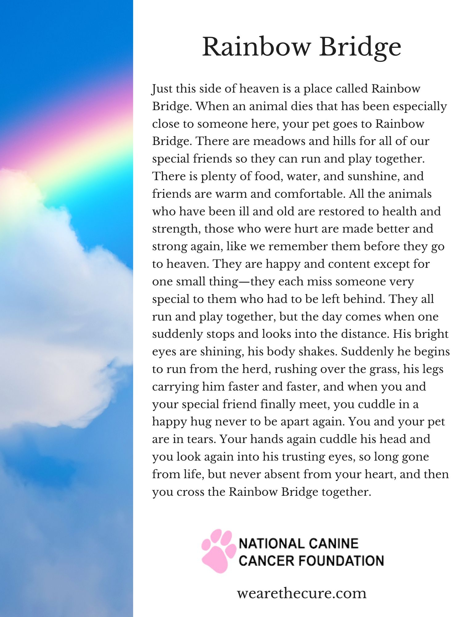 What The Rainbow Bridge Poem Gets Perfectly Right About Pet Loss in The Rainbow Bridge Poem Printable Free Download