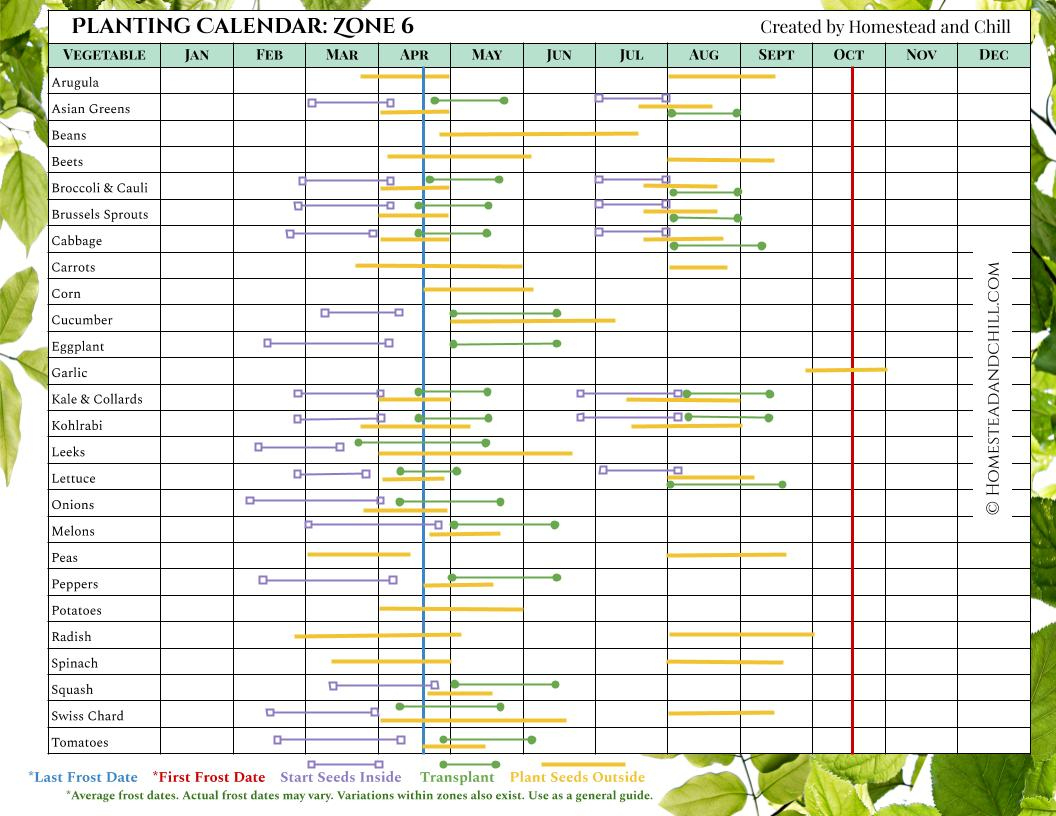 When To Start Seeds Indoors: Planting Calendars For Every Zone within Printable Seed Germination Chart