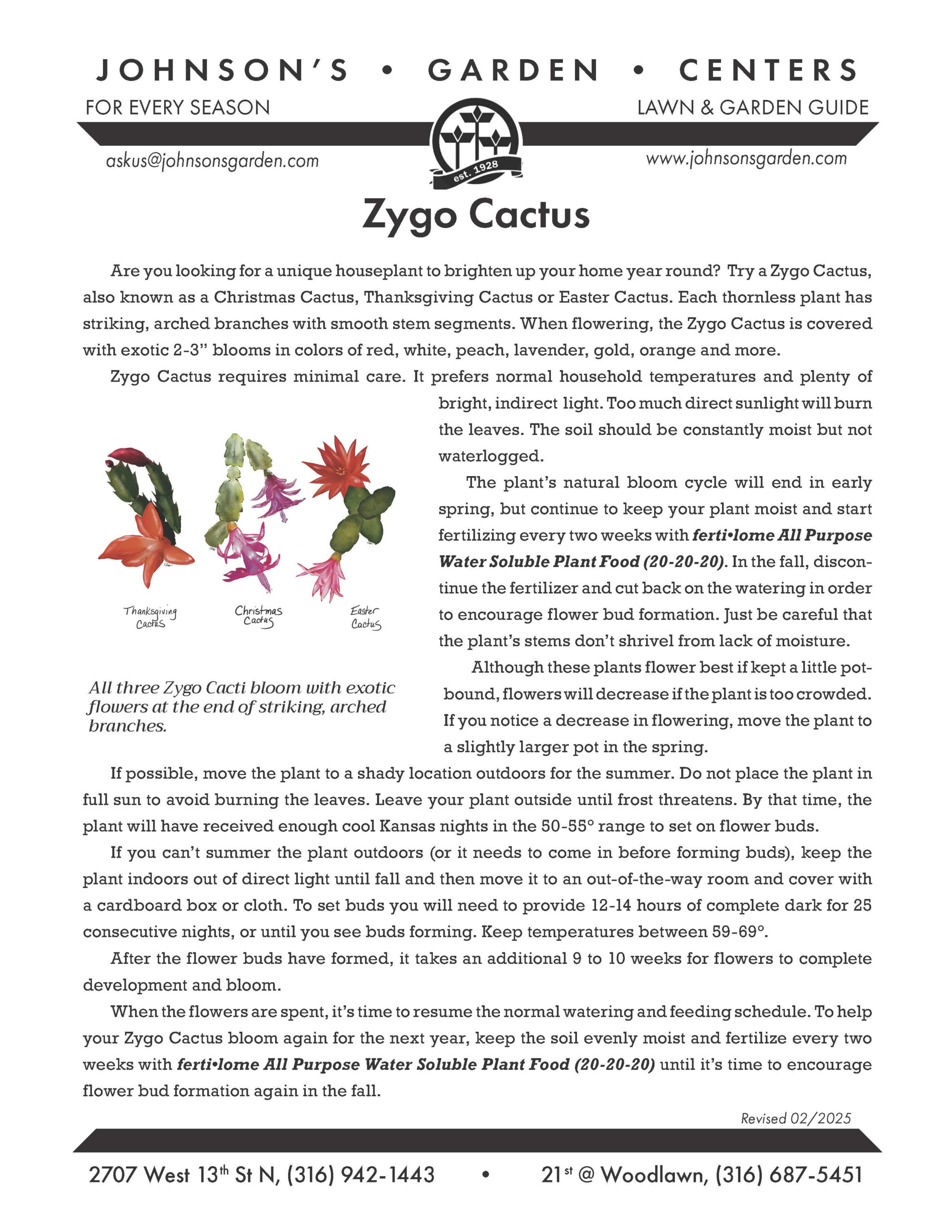 Christmas Cactus Care – Johnson&amp;#039;S Garden Centers intended for Christmas Cactus Care Printable