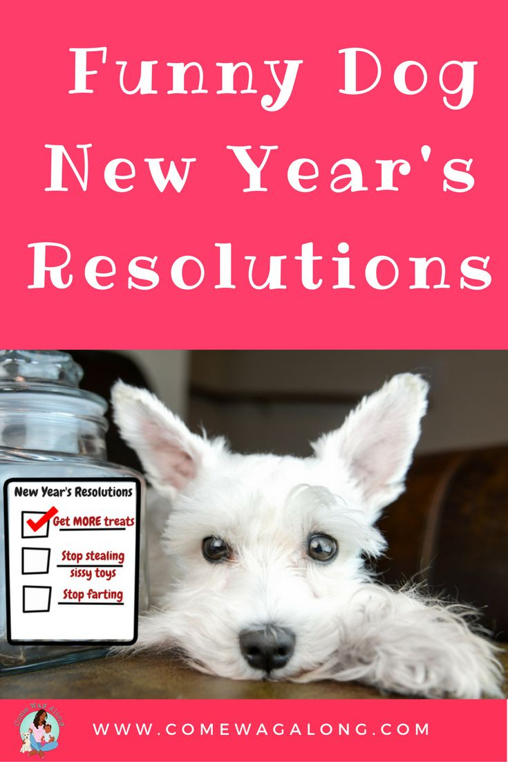 Funny Dog New Year&amp;#039;S Resolutions - Come Wag Along throughout New Year Dog Quotes