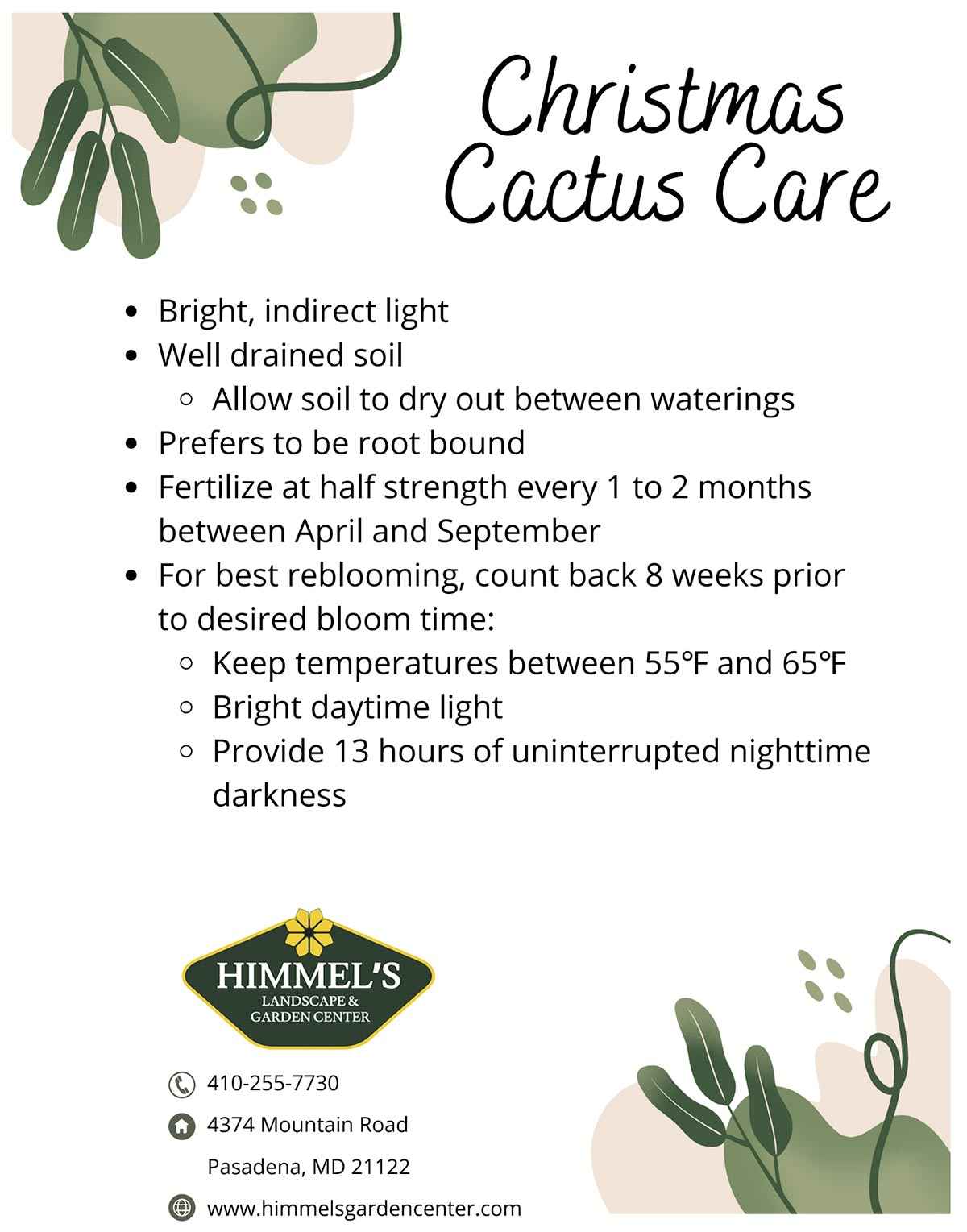 Plant Of The Week: Christmas Cactus Guide | Himmel&amp;#039;S Garden Tips in Christmas Cactus Care Printable