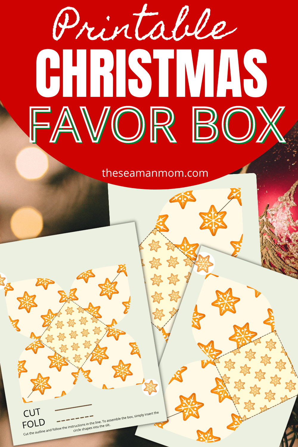 Printable Box Template For Christmas - Easy Peasy Creative Ideas throughout Christmas Gift Box Templates Free Printable