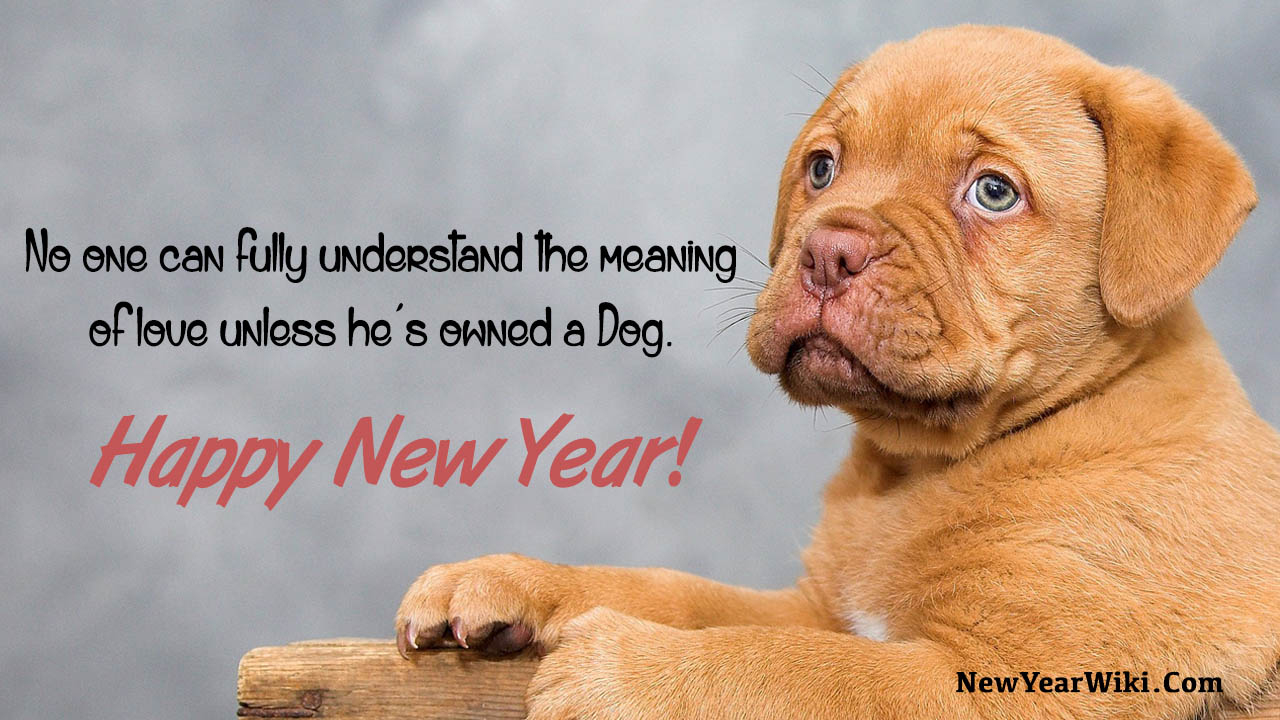 Puppy New Year 2025 | Www.kenyalogy intended for New Year Dog Quotes